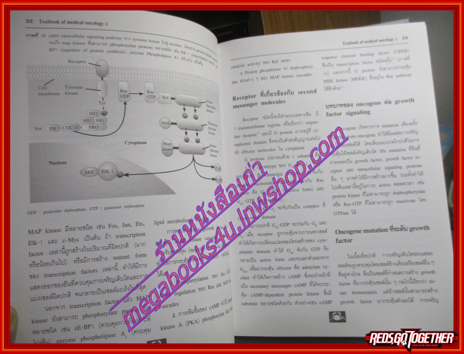 หนังสือตำราการรักษาโรคมะเร็ง 2 TEXTBOOK OF MEDICAL ONCOLOGY โดย นายแพทย์วรชัย รัตนธราธร