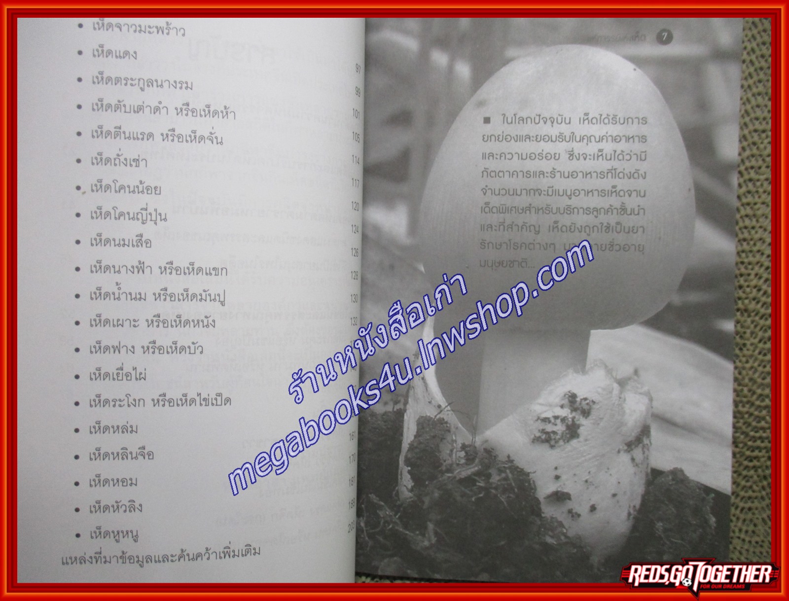 มหัศจรรย์แห่งเห็ด ผู้เขียน: หมออาสาแพทย์แผนไทย (หนังสือใหม่) (สภาพ 95%)