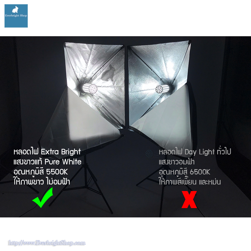 Studio Set A ชุดไฟสตูดิโอพร้อมฉาก 2x3M ความสว่างสูงสุด 12000LM