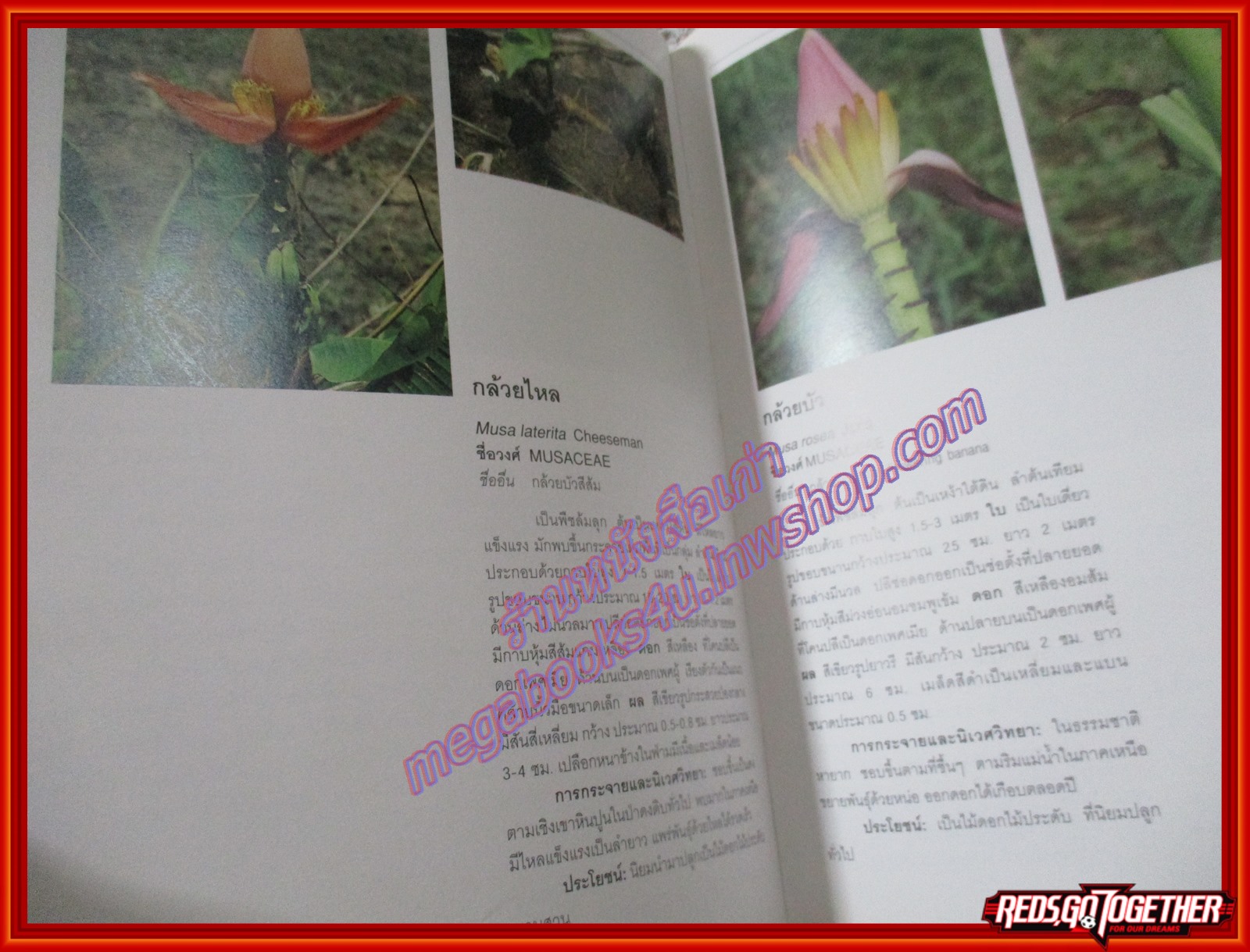 สวนพฤกษศาสตร์สมเด็จพระนางเจ้าสิริกิตติ์ QUEEN SIRIKIT BOTANIC GARDEN เล่ม1 องค์การสวนพฤกษศาสตร์