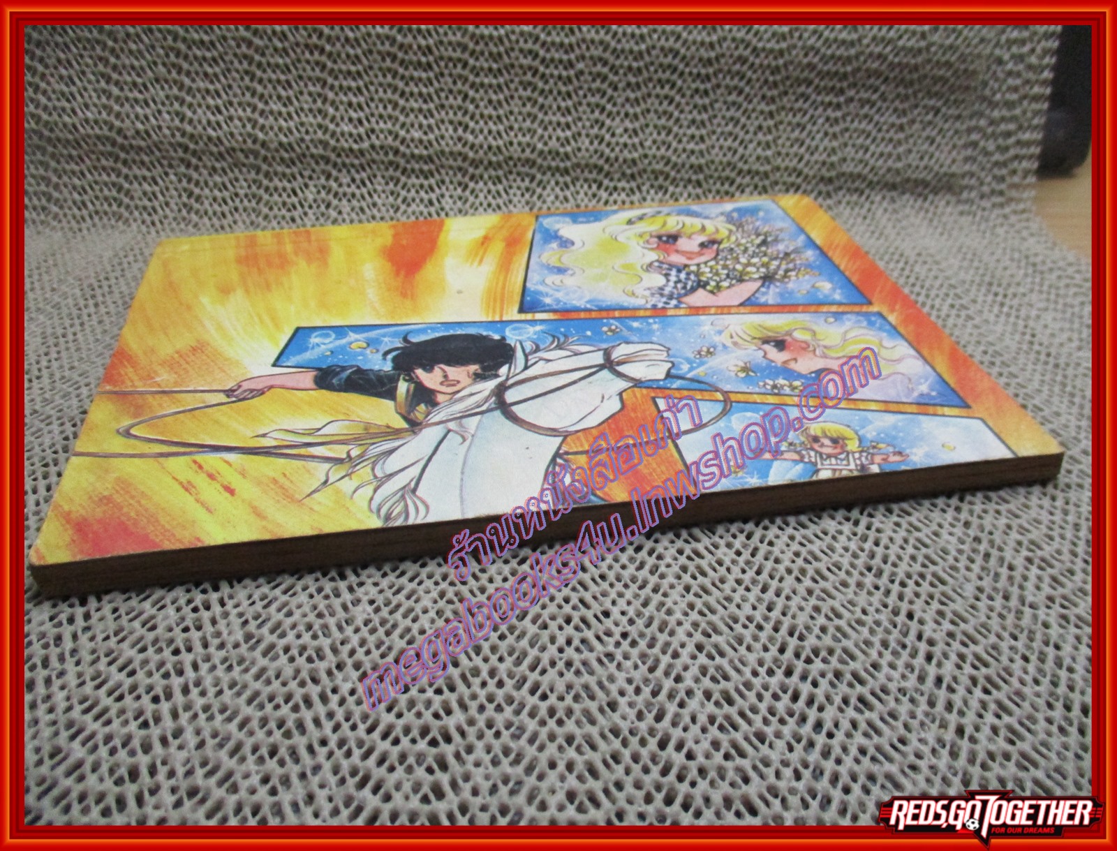 การ์ตูนบ้าน รักนอกตำรา เล่ม01 (* เล่มจบ)