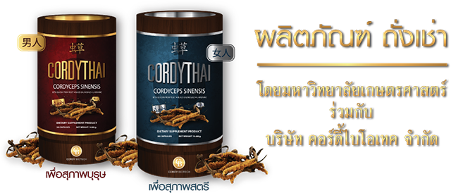 CordyThai ถั่งเช่า คอร์ดี้ไทย
