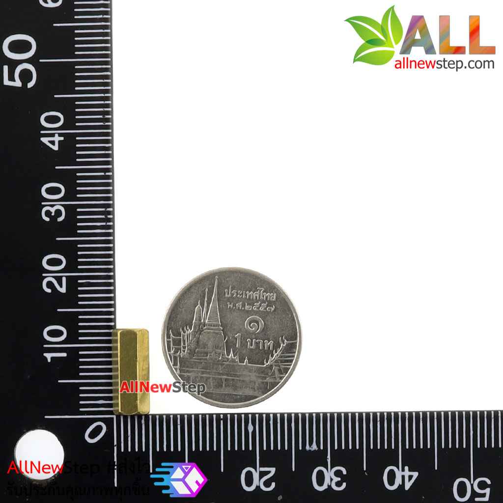 Pillars Nut M3 น็อตตัวเมีย ทองเหลืองแบบยาว 12mm