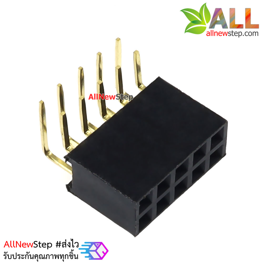 ขาก้างปลาตัวเมียแบบฉาก 2x5 ขา Double Row Hole Jack 2x5 PIN Header 2.54mm