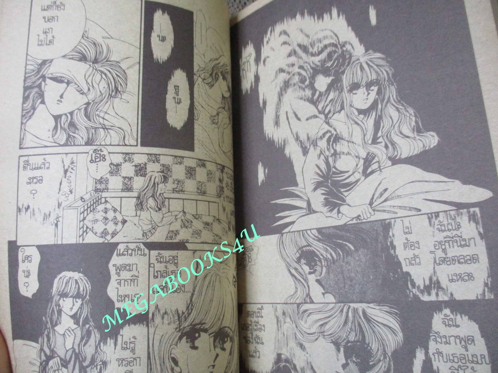 การ์ตูนบ้าน ผีฝาแฝด / เล่มเดียวจบ / สยามฯ /