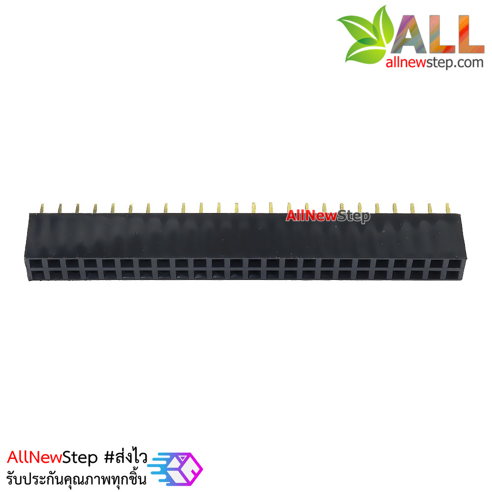 ขาต่อตัวเมีย Double row female 2.54mm pitch straight pinheader socket 2x24 2.54mm