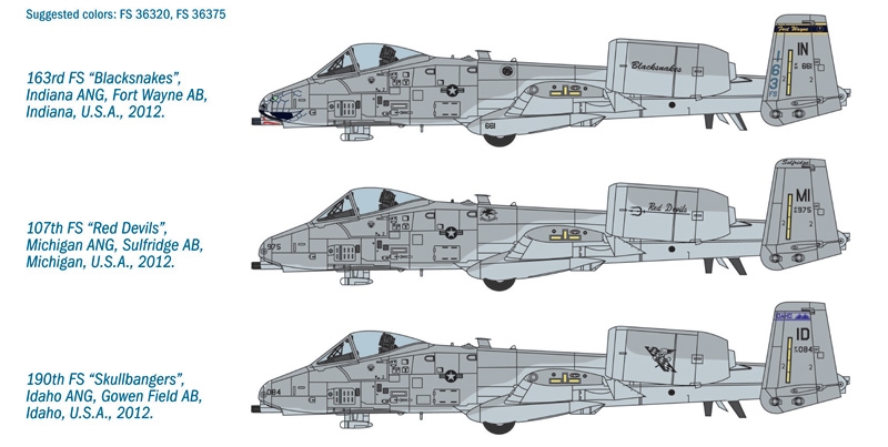 1/48 A - 10C ''Blacksnackes''