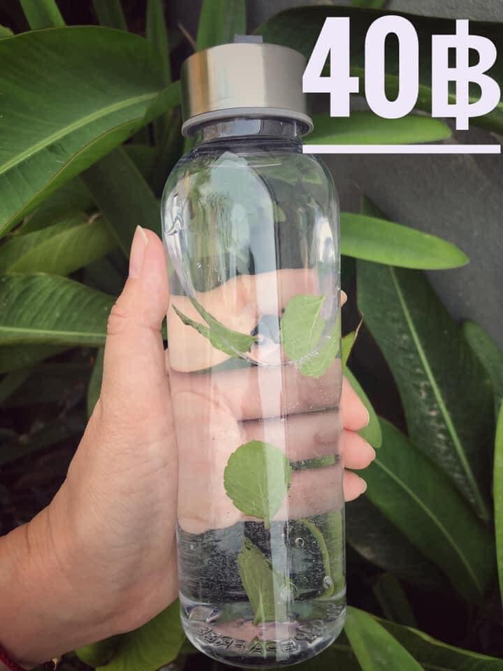 ขวดชงดื่มใสฝาสแตนเลสมีลายอย่างดี 400 ml