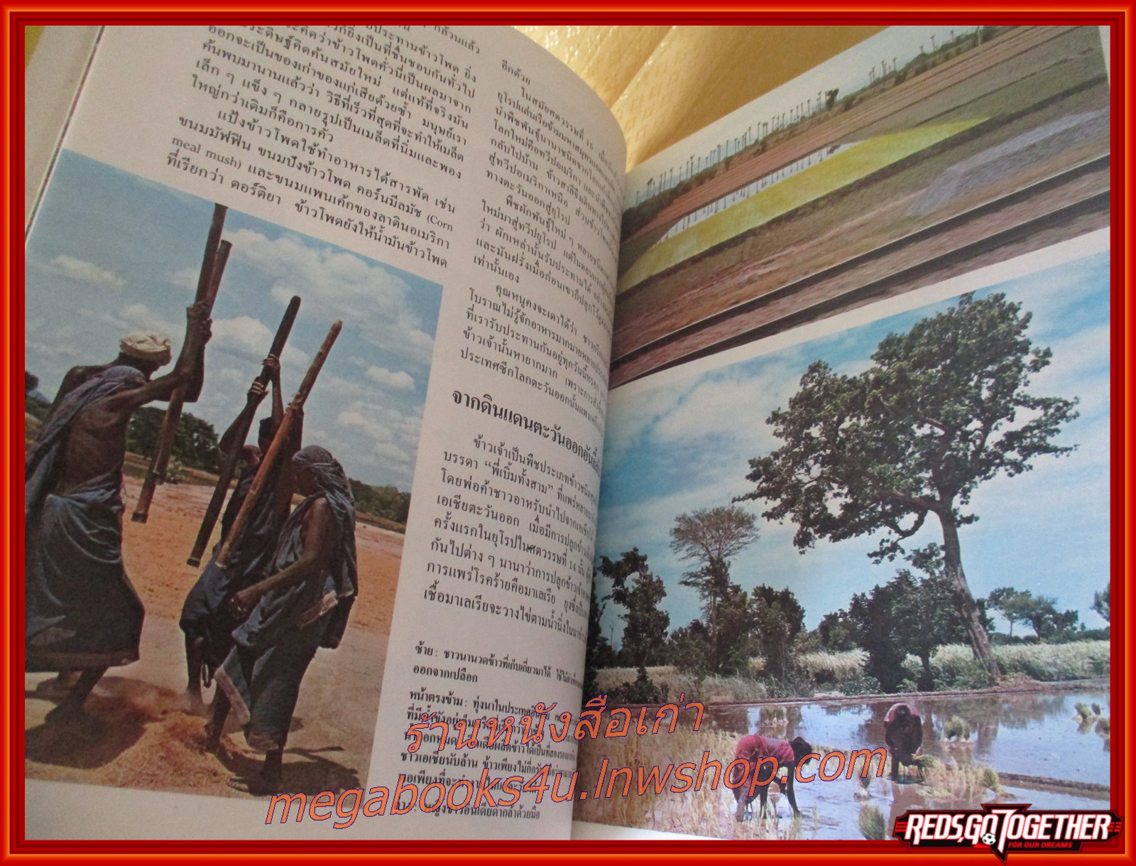 Disney's โลกมหัศจรรย์ เล่ม 02 ธรรมชาติ