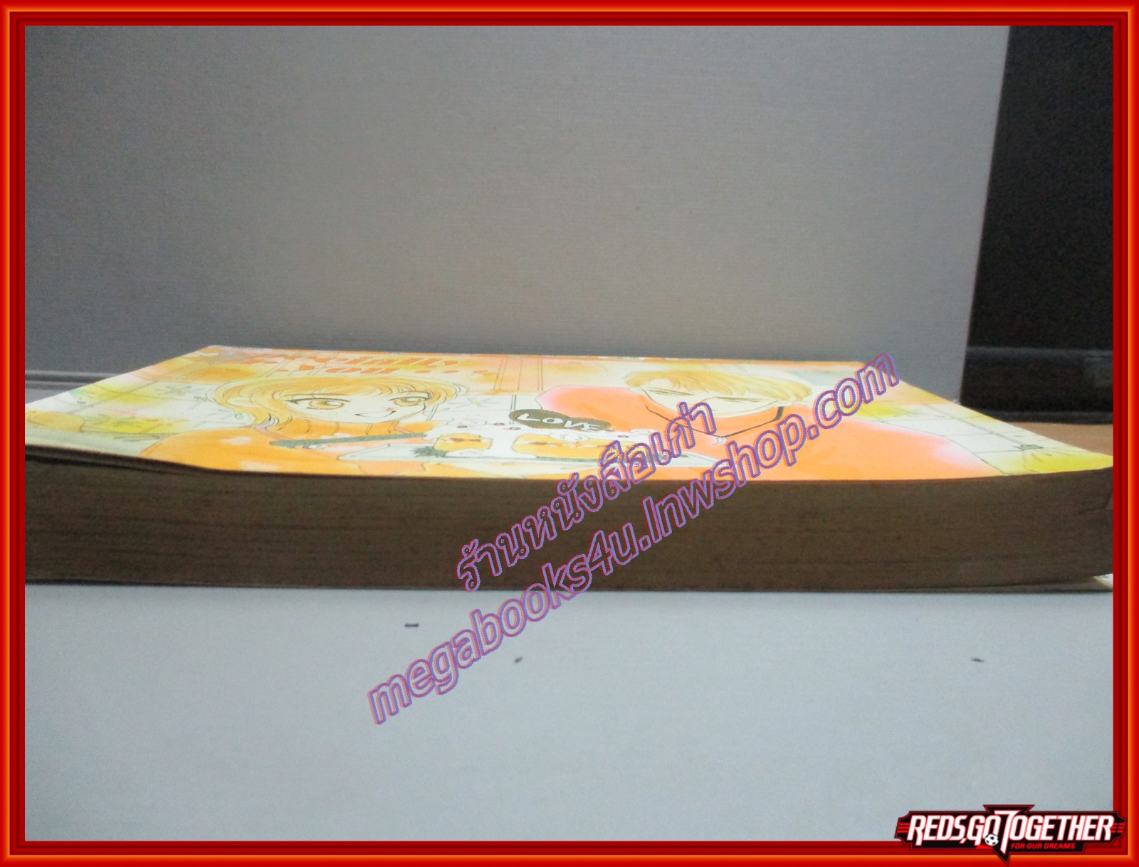 การ์ตูนบ้าน BIRTHDAY เบิร์ธเดย์ เล่มเดียวจบ สนพ.หมึกจีน ตำหนิ มีคราบน้ำ อ่านได้ตามปกติ