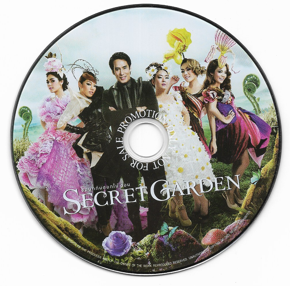 Used CD,เบิร์ด ธงไชย แมคอินไตย์ ชุด 20 ขนนกกับดอกไม้ (Bird Thongchai)(ไม่มีปก)(แผ่น CD ไม่มีรอย)(A)