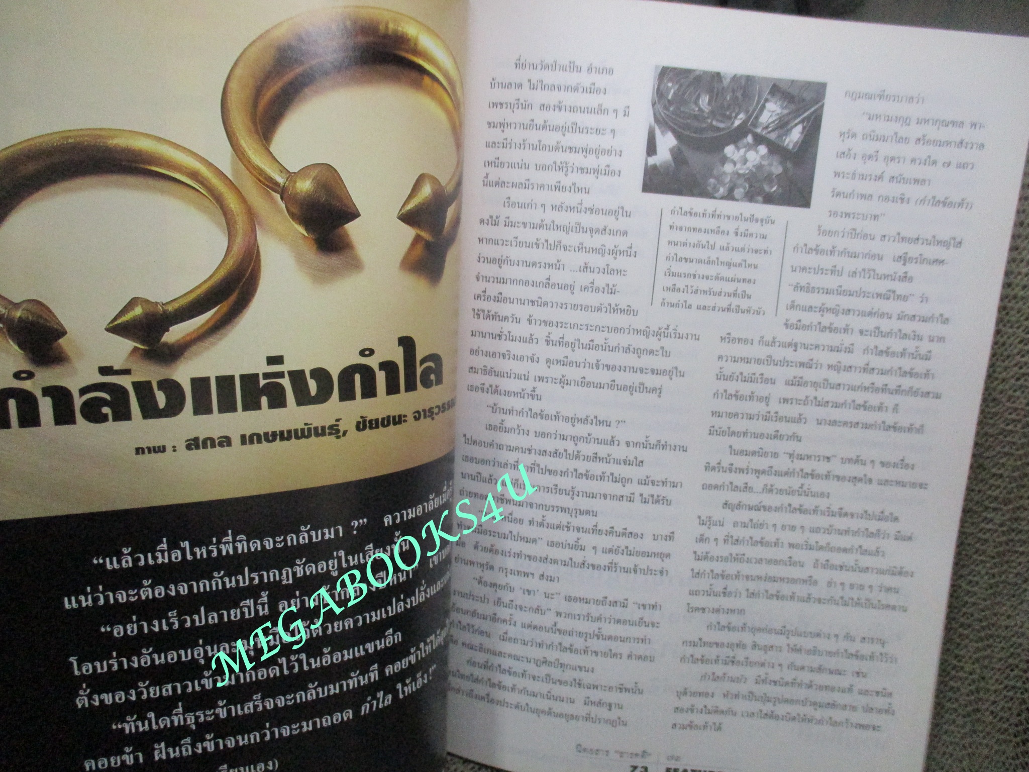 นิตยสารสารคดี ฉบับที่119 มกราคม 2538 หมูชีวิตนี้เพื่อมนุษย์ ชนชาติจ้วง วอชิงตันดีซี ยะลา