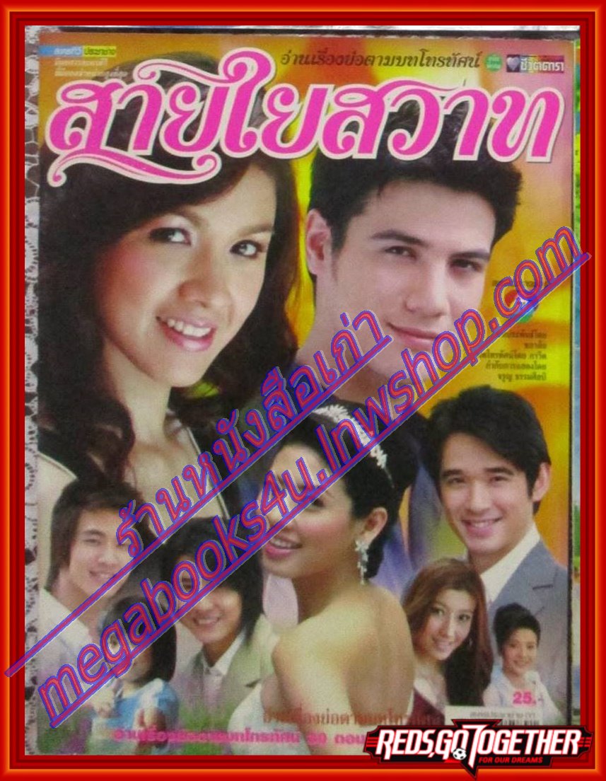 เรื่องย่อละคร สายใยสวาท ปี2551 สภาพดี สันติ วีระบุญชัย สุวนันท์ ปุณณกันต์