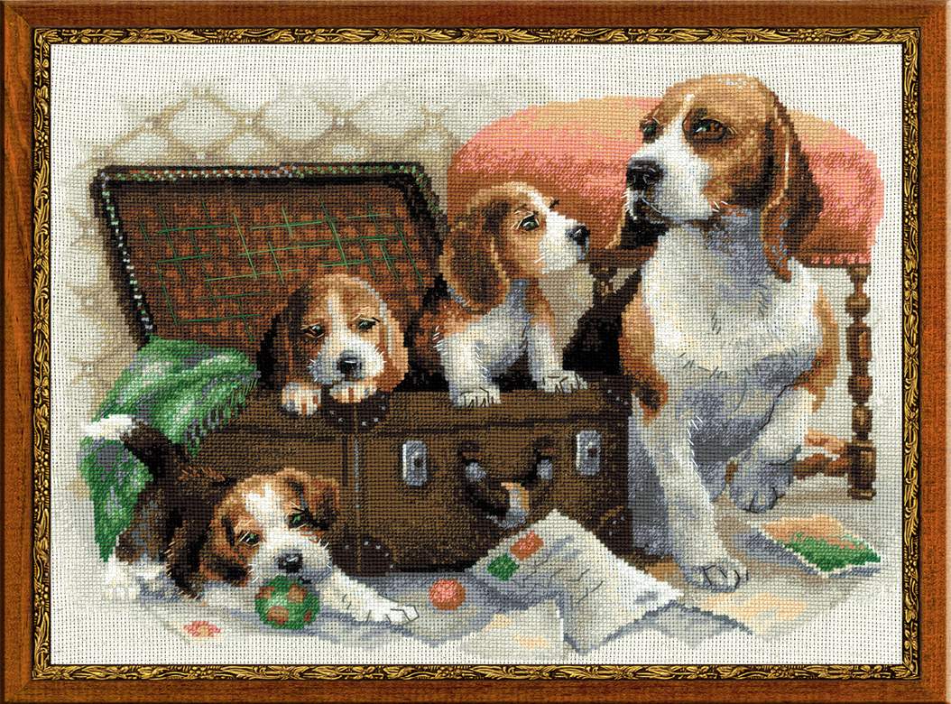 Riolis Canine Family