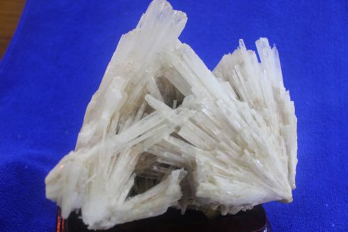 พุ่มหินเซเลไนต์ (Selenite)