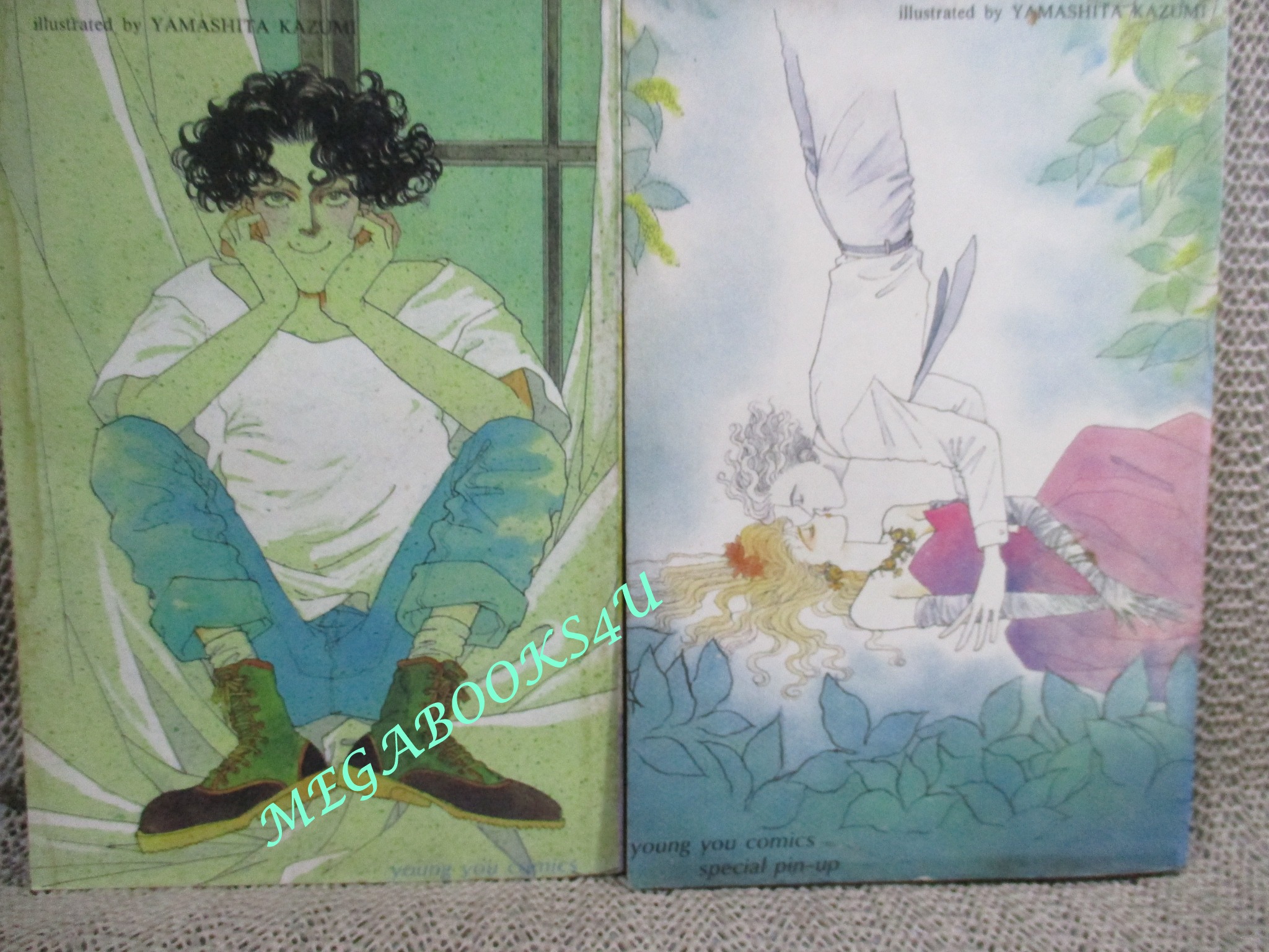 คู่หูกุ๊กกิ๊ก ภาค2 รวม 2 เล่มจบ / YAMASHITA KAZUMI / สนพ. สยาม /กระดาษสีน้ำตาล ปกหลังมีคราบน้ำนิด