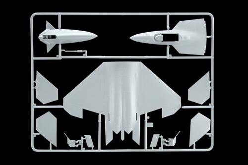 1/72 F - 22 RAPTOR