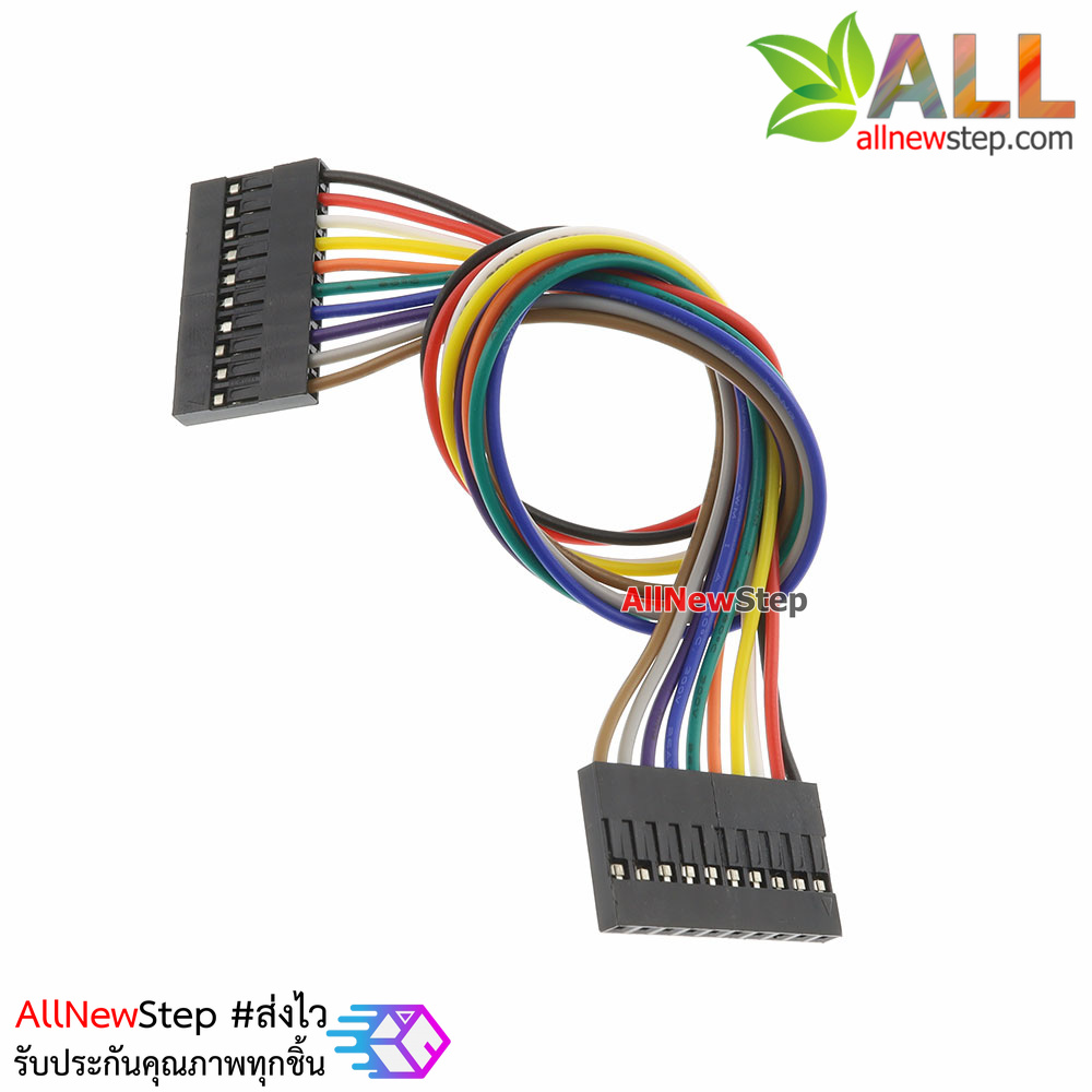 Jumper Wire 10P Female to Female สายไฟจัมเปอร์ เมีย-เมีย 10 เส้น ยาว 20cm