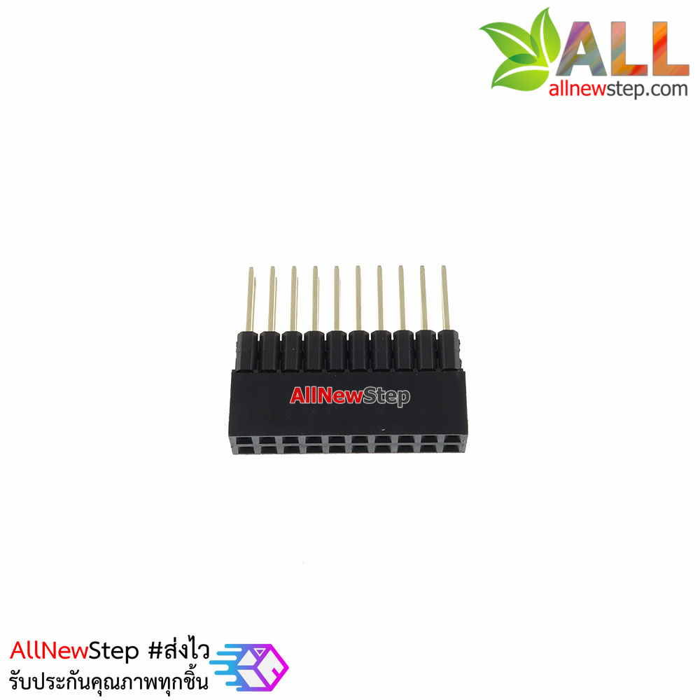 2x10 Pin 2.54mm double socket
