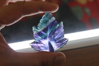 ใบเมเปิ้ลฟลูออไรท์ (Fluorite)