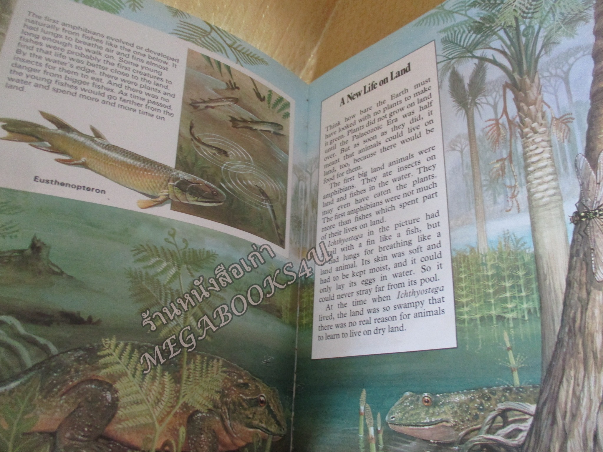 หนังสือส่งเสริมภาษาอังกฤษ THE AGE OF DINOSAURS