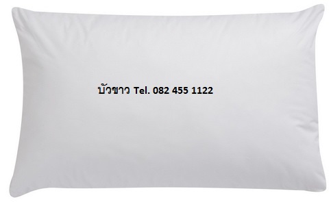 หมอนหนุน ใยสังเคราะห์ เกรดA 15*25นิ้ว 500กรัม : ใบละ 102บาท ส่ง 100ใบ