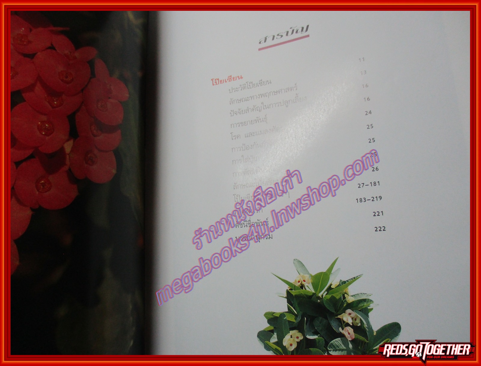 โป๊ยเซียน ไม้ดอกเสี่ยงทาย เล่ม1 โดย อุไร จิรมงคลการ