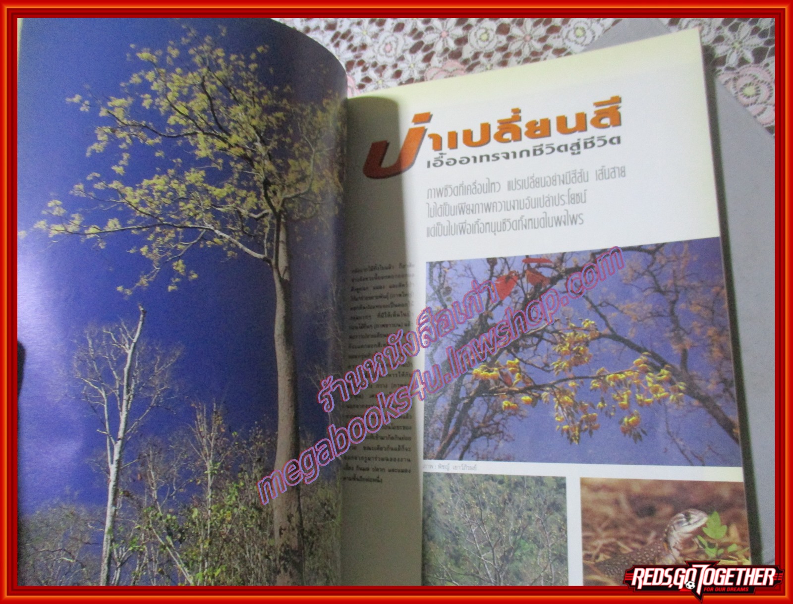 นิตยสารสารคดี ฉบับที่075 พฤษภาคม 2534 ปีที่07 ป่าเปลี่ยนสี จุกแกละโก๊ะเปียทรงผมเด็กวันวาน