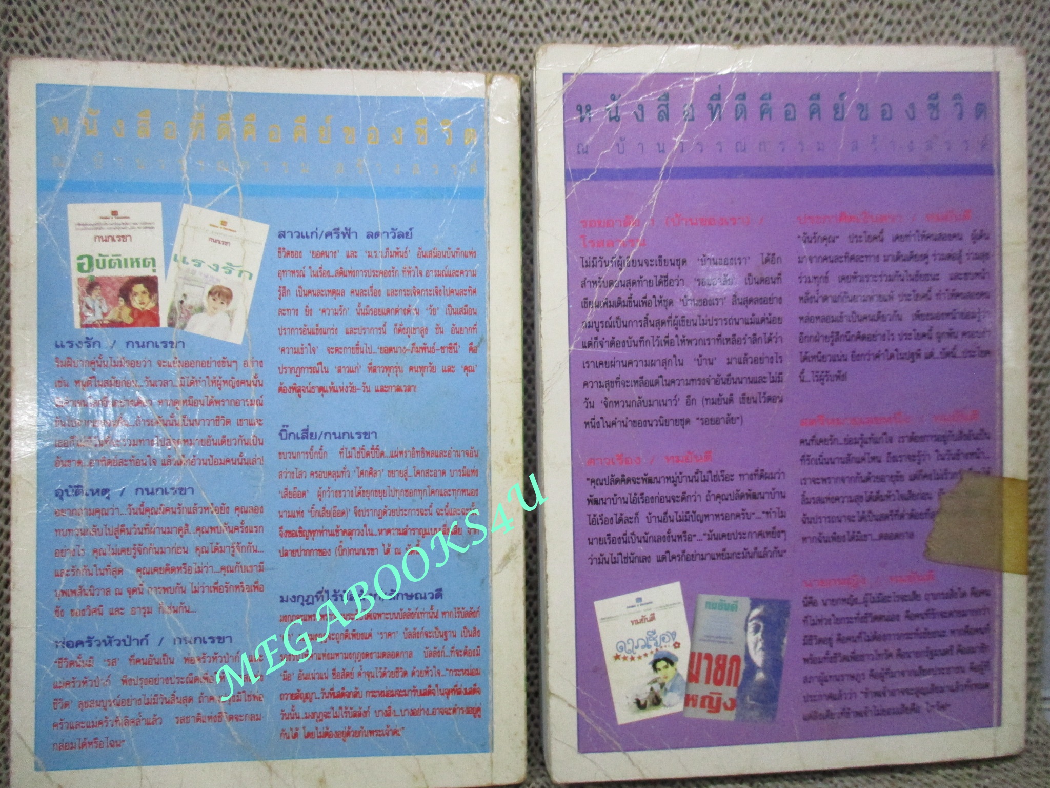 นิยาย รอยอินทร์ / โรสลาเรน สภาพอ่าน ปกยับ มีรอยขาด