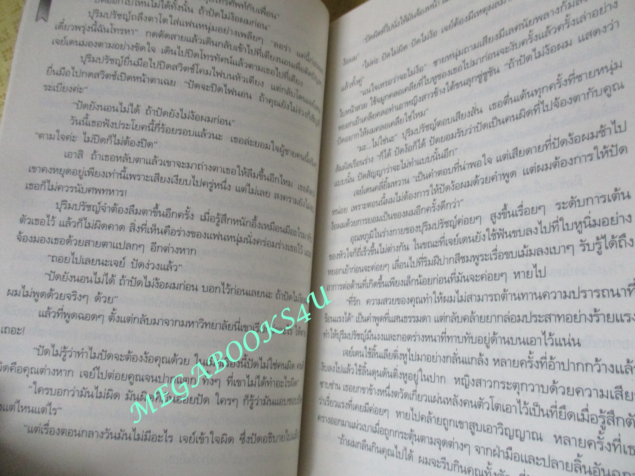 นิยาย เมียบำเรอจำเลยแค้น / ญาณภ์ฉัตร / อินเลิฟ (มือสอง) (สภาพ85-95%)