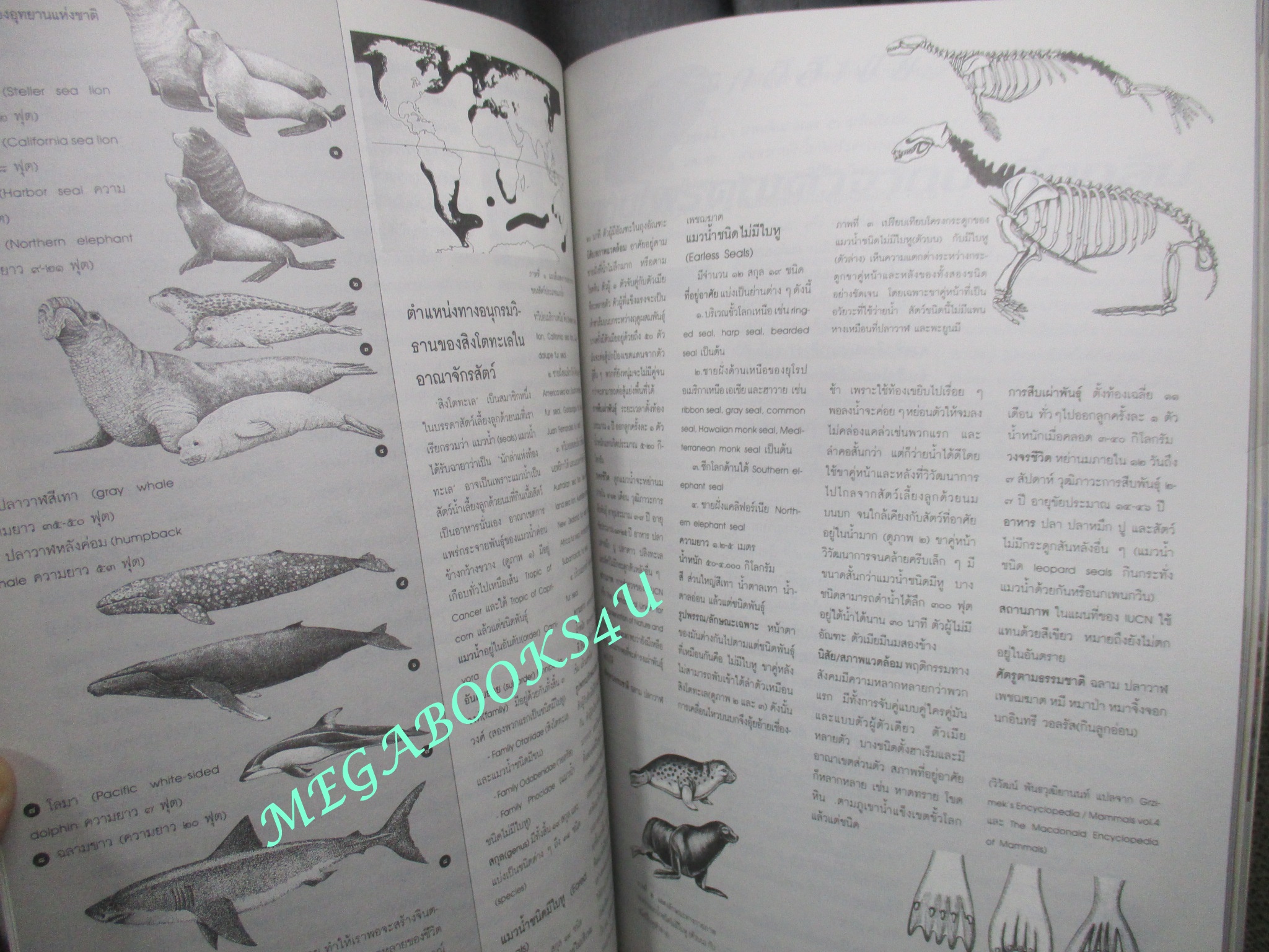 นิตยสารสารคดี ฉบับที่097 ปี2536 สิงโตทะเล บ้านเชียง กระดาษ อุดรธานี