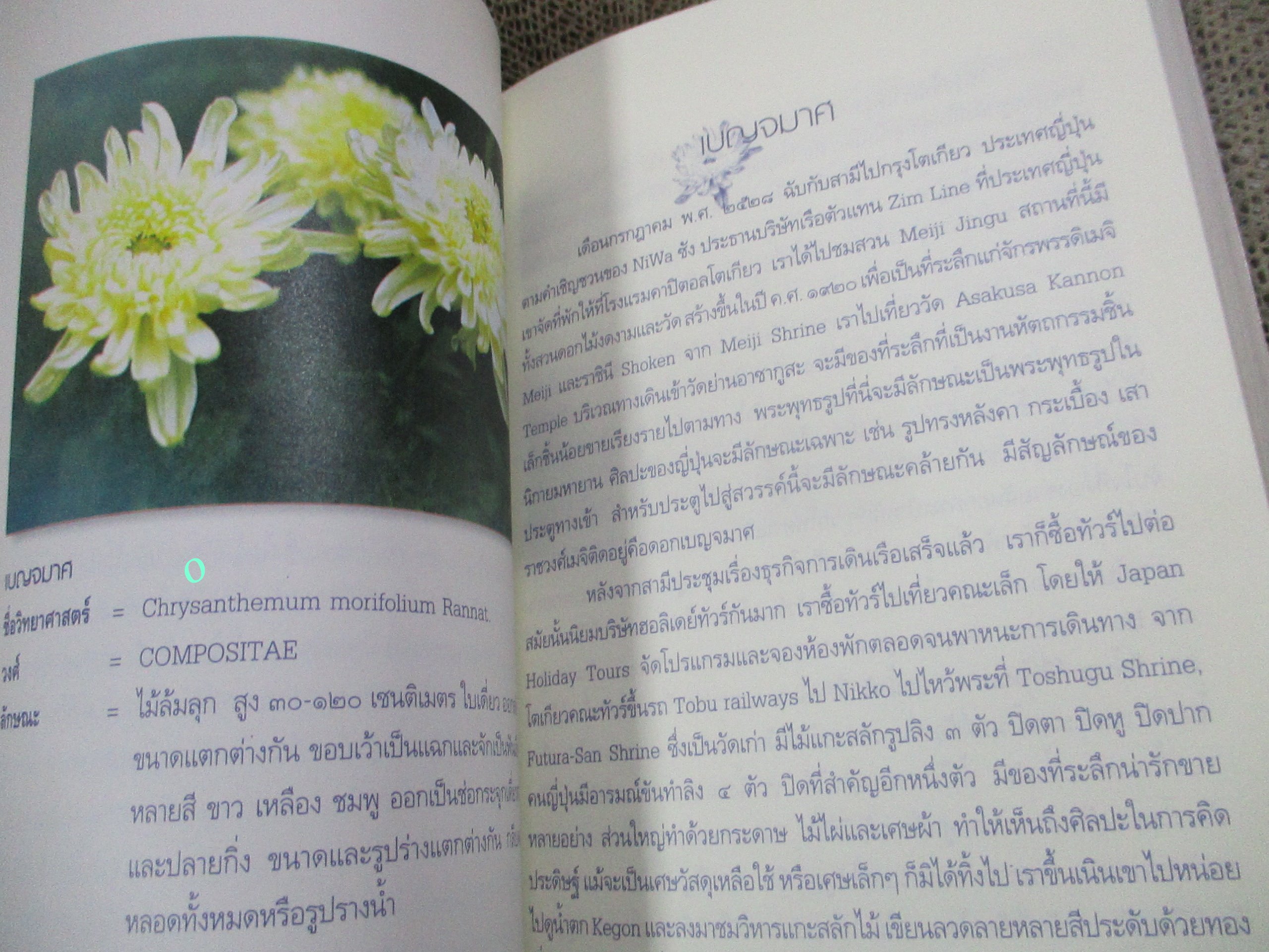 ดอกไม้ในสวน / เดือนฉาย คอมันตร์ / เป็นสารคดีอัตชีวประวัติของ เดือนฉาย คอมันตร์ เป็นงานเขียนที่ผ่านการกลั่นกรองอย่างรอบคอบ ด้วยประสบการณ์และ มุมมองอันลุ่มลึกระหว่างชีวิต ความคิดและธรรมชาติ