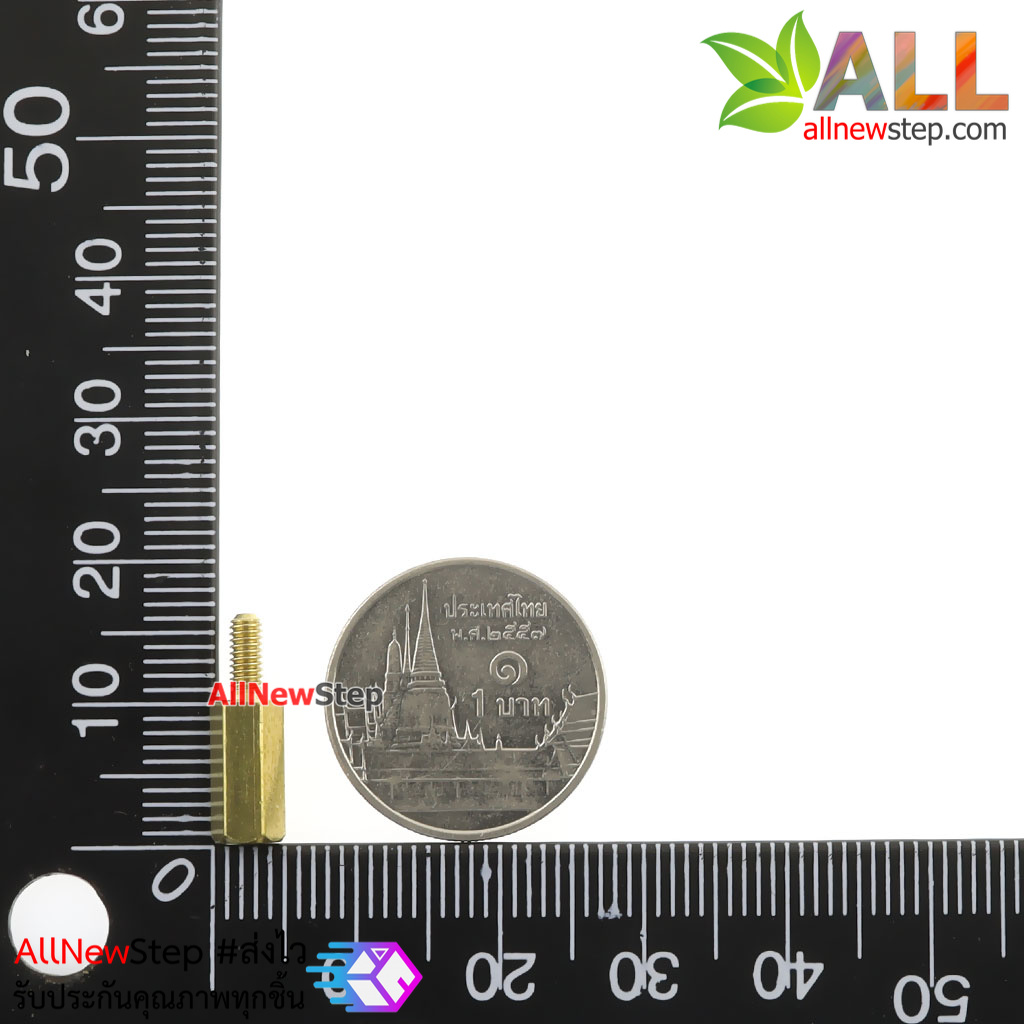 Nut screw m2.5 น็อตสกรู M2.5 ขนาด 10+6mm