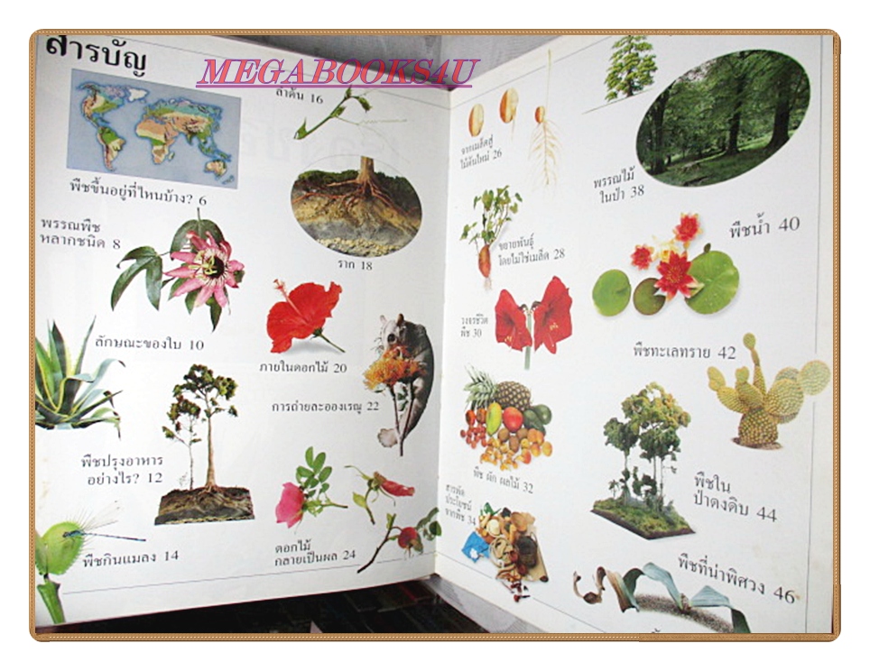 หนังสือมือสอง หนังสือเด็กรักลูก ห้องสมุดแสนสนุก เรื่อง เรื่องของพืช