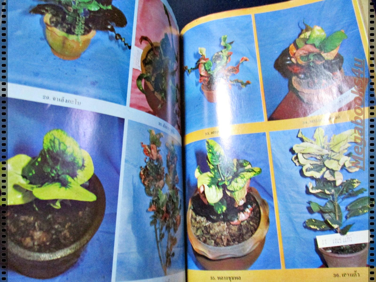 คู่มือบอนสี-ว่าน-โกสน ฉบับรวมเล่ม โดยมานพ ลิ้มจรูญ