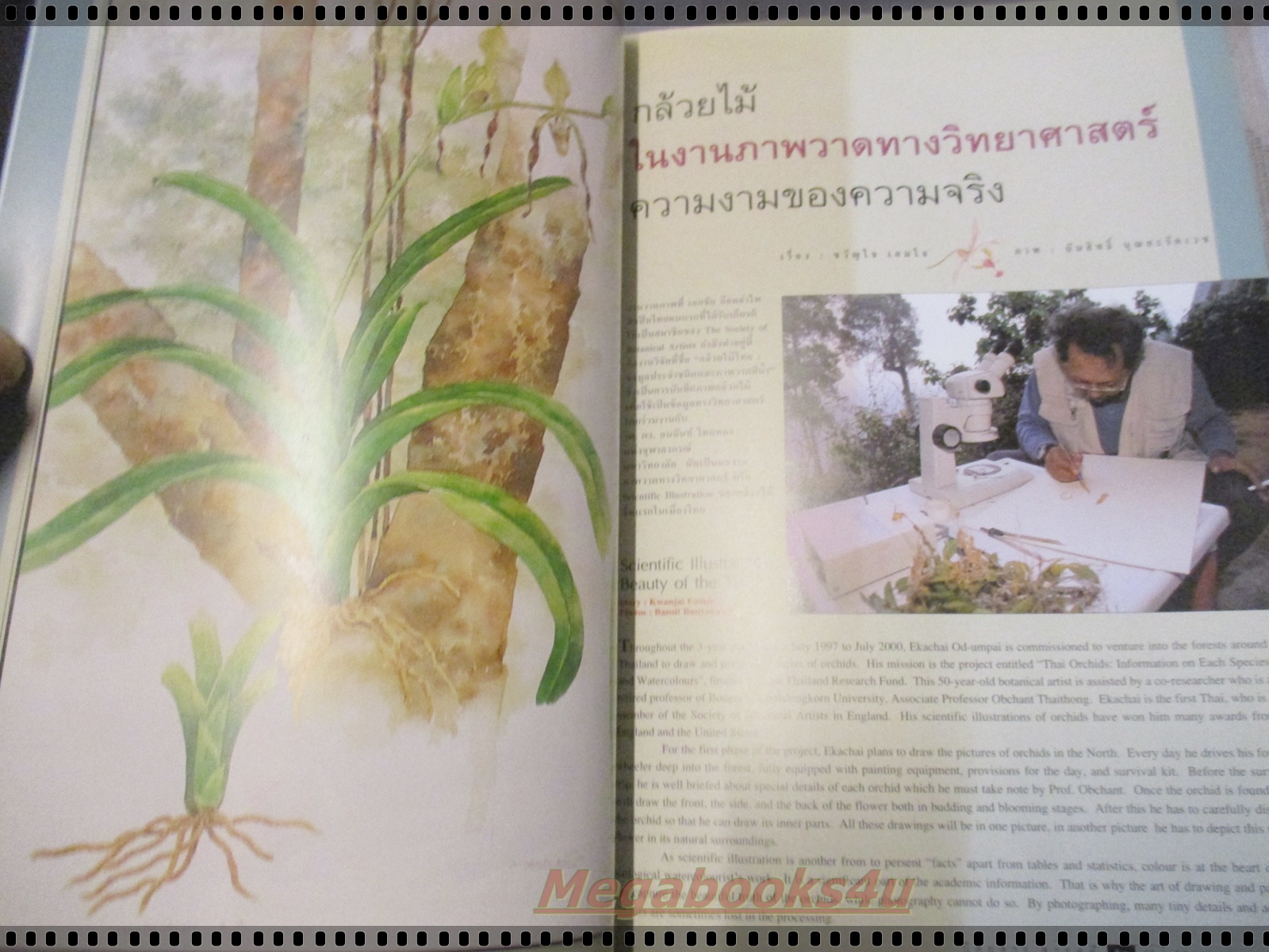 นิตยสารสารคดี ฉบับที่170 ปีที่15 เมษายน 2542 โลกมหัศจรรย์แห่งกล้วยไม้ไทย,ของเล่นพื้นบ้าน,เที่ยวลพบุรี, สภาพดี