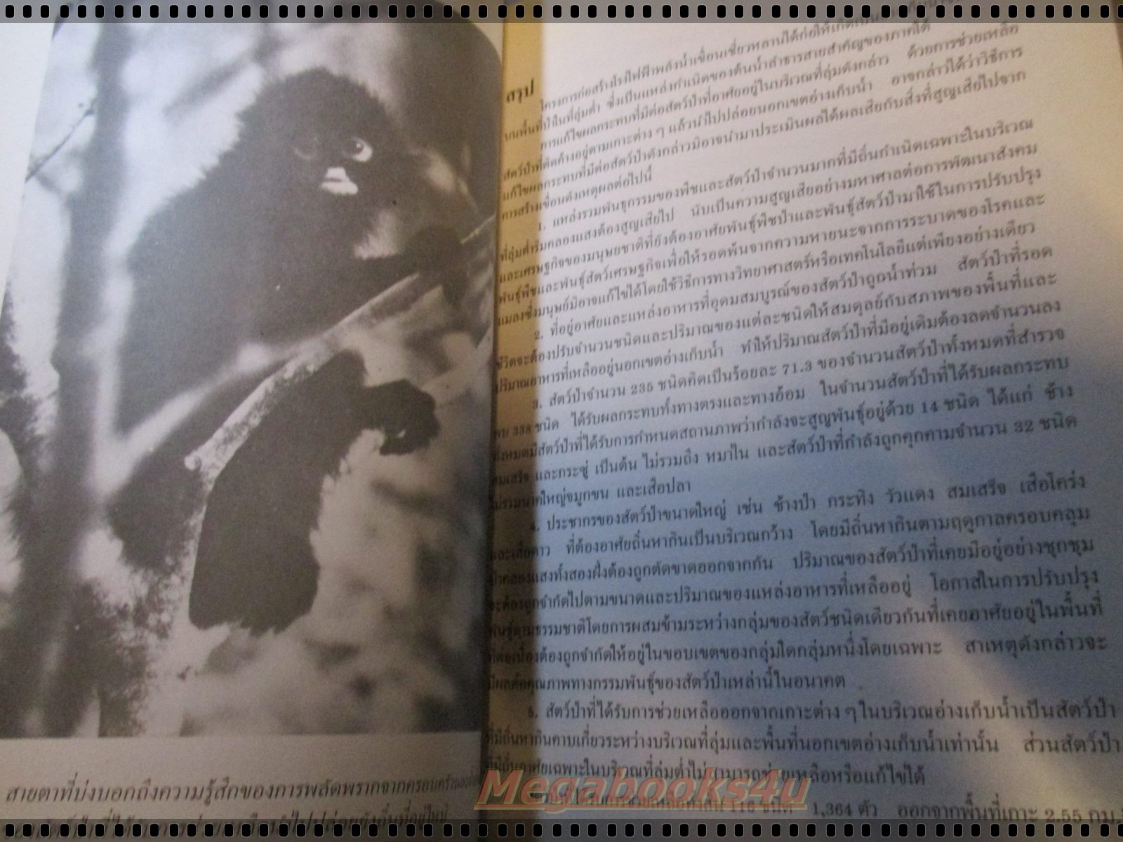 รายงานการประเมินผลงานช่วยเหลือสัตว์ป่าตกค้าง เขื่อนเชี่ยวหลาน โดย สืบ นาคะเสถียร