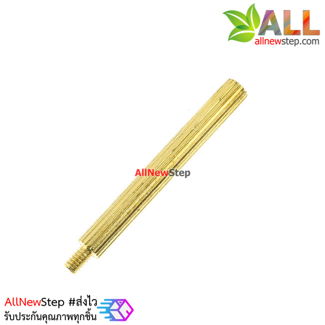 น็อตทองเหลือง NUT M2 ขนาด 25+3mm