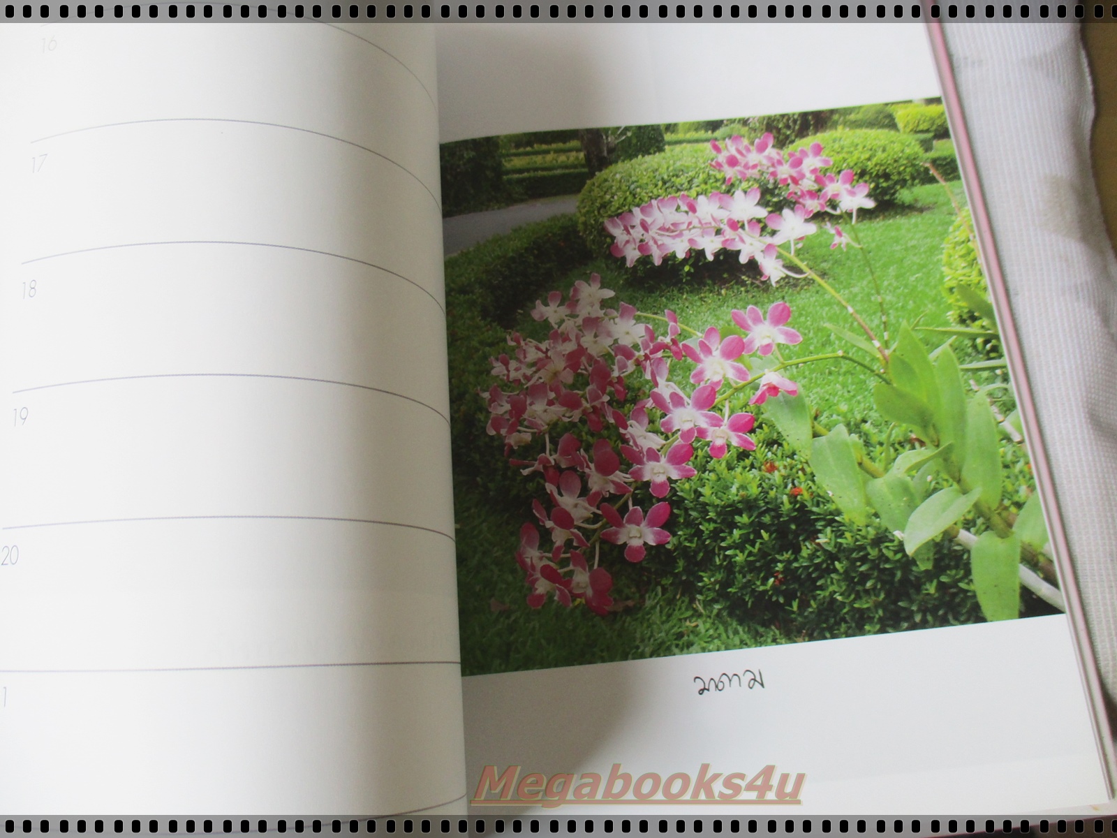 ในร่มเงาวังสระปทุม (ปกแข็งพร้อมกล่อง) ภาพถ่ายฝีพระหัตถ์สมเด็จพระเทพรัตนราชสุดาฯ สยามบรมราชกุมารี