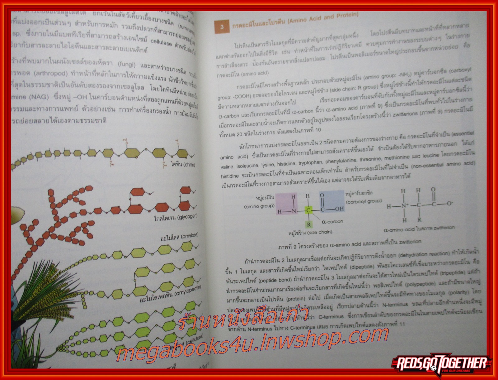 หนังสือชีวะ หนังสือชีววิทยา Biology ชีววิทยา หนังสือเรียน เตรียมสอบ /ศุภณัฐ ไพโรหกุล/ ริมปกเยินเล็กน้อย