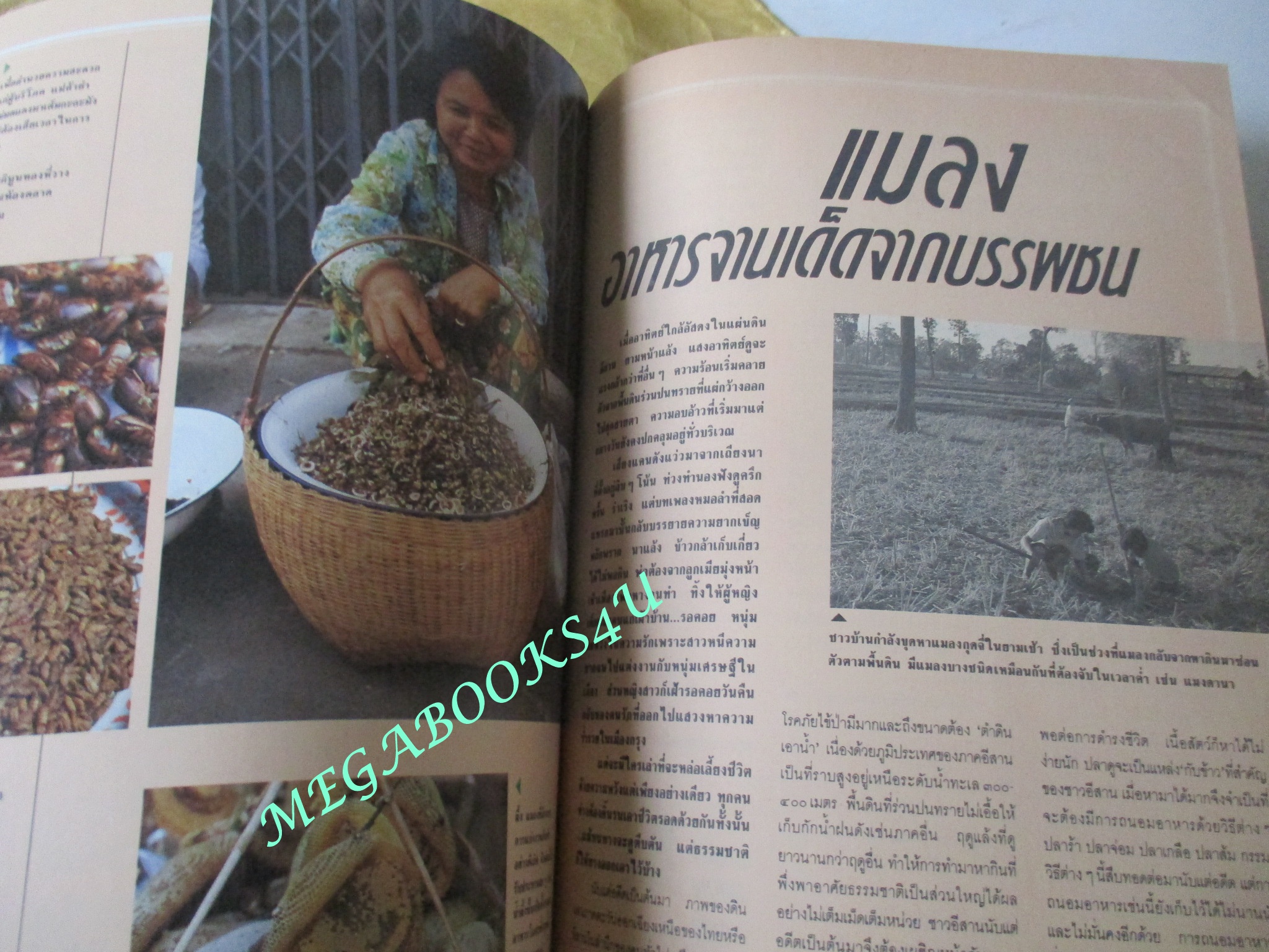 นิตยสารสารคดี ฉบับที่053 กรกฏาคม 2532 ปีที่05 ช้างไทย,ศูนย์ฝึกลูกช้าง,อาหารอีสาน,