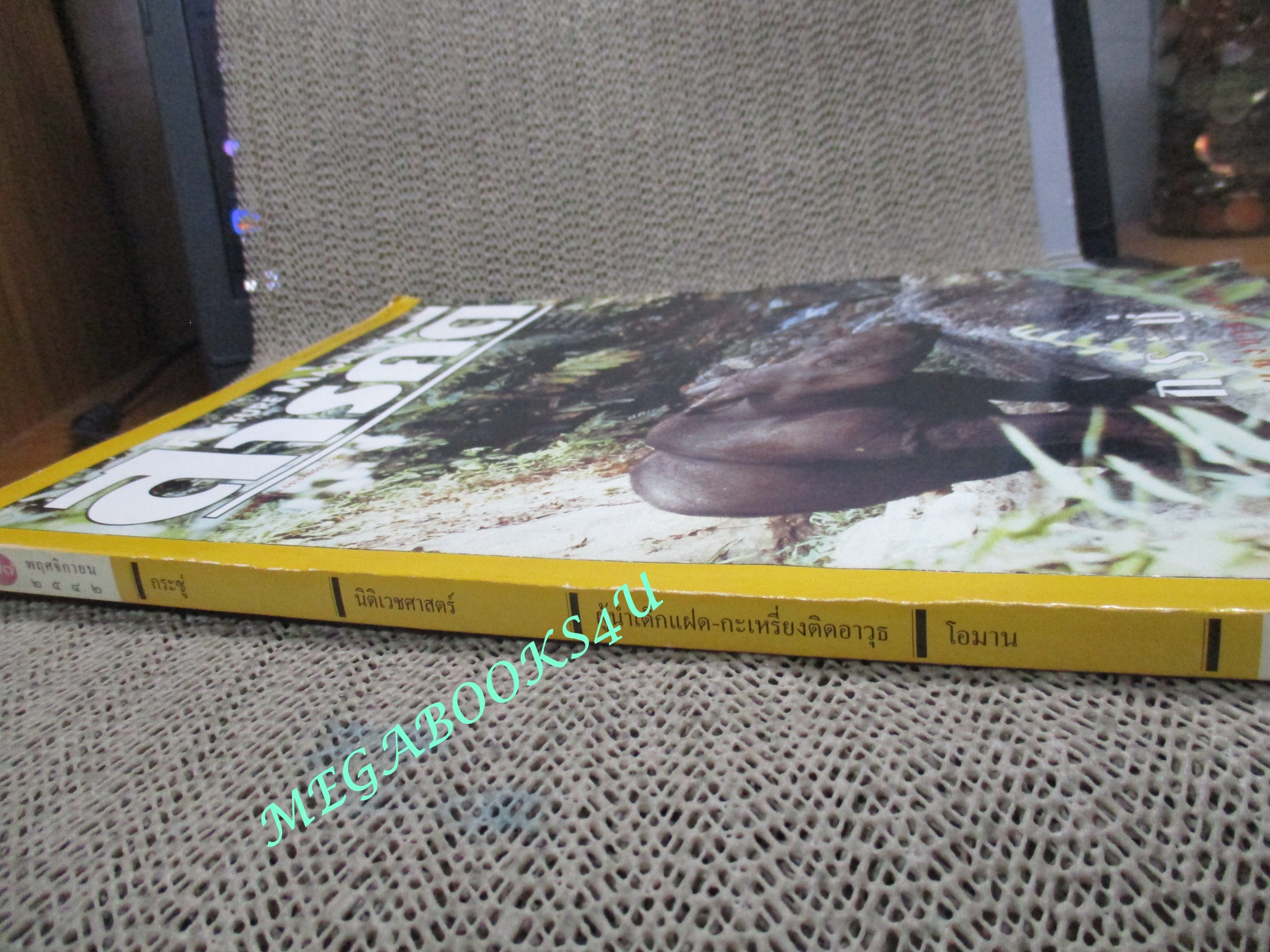 นิตยสารสารคดี ฉบับที่177 ตุลาคม พ.ศ.2542,กระซู่,นิติเวชศาสตร์,ผู้นำเด็กแฝด กระเหรี่ยงติดอาวุธ