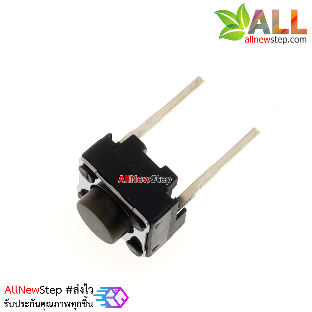 switch ไมโครสวิตช์ กดติดปล่อยดับ แบบ 2 ขา micro switch จำนวน 10 ชิ้น