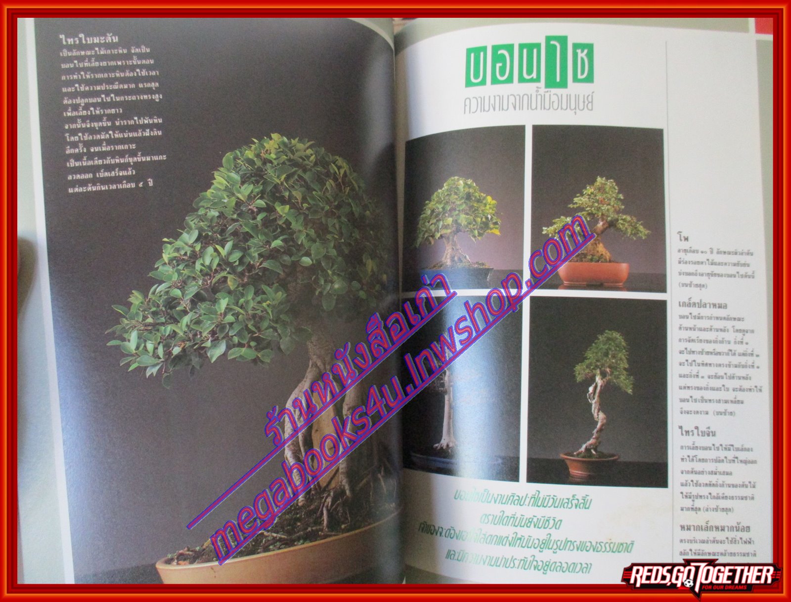 นิตยสารสารคดี ฉบับที่056 ตุลาคม 2532 UDT วีรบุรุษใต้น้ำ นักทำลายใต้น้ำ แมงดาทะเล บอนไซ