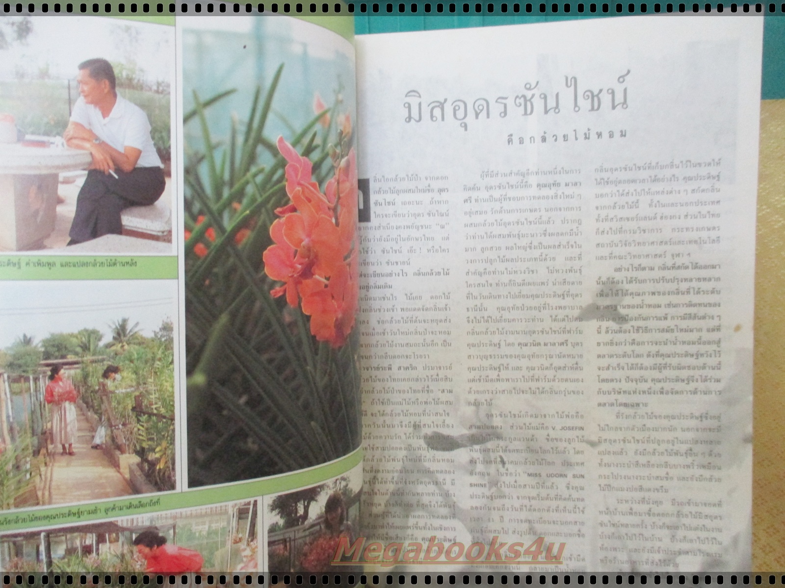 นิตยสารจันทร์ ฉบับ33 ปี2533 ปก ลิซ่า มาการ์เร็ต *มีตำหนิ ปกหลังมีคราบน้ำ ตัวหนังสือเป็นคลื่น เปิดได้ตามปกติ