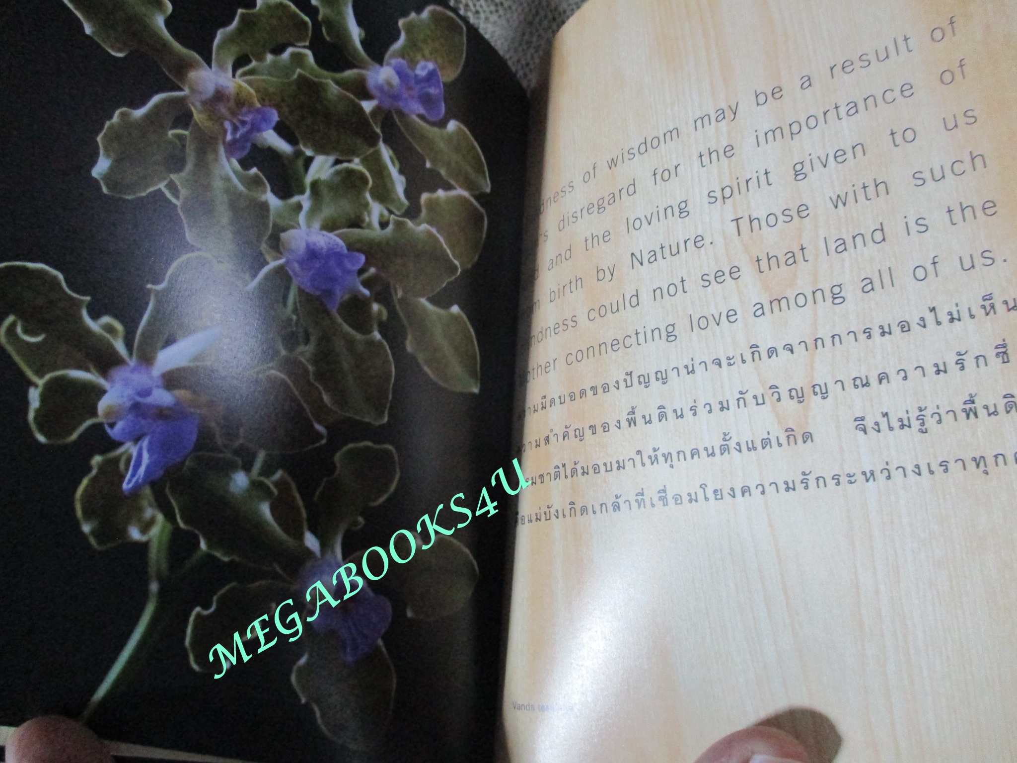 หนังสือ หอมทวนลม The language of orchids. a treasury of wisdom and inspiration / ระพี สาคริก / ปรัชญา คำคม (มือสอง) (สภาพ85-95%)