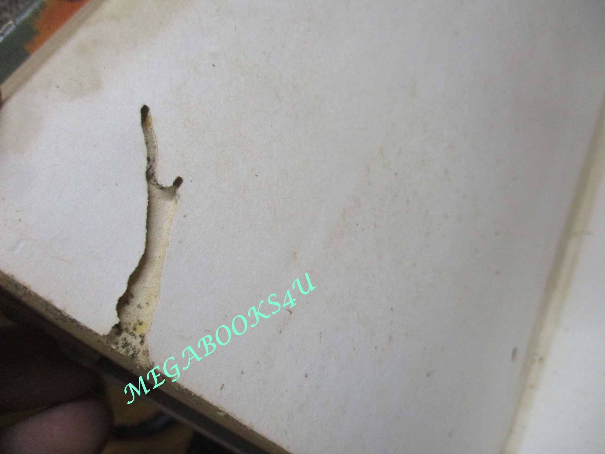 นิยายแปล แม่ยวนสวาท ปี2507 ตำหนิ สภาพเก่าหน่อย มีรอยแมลงกัดกินตามภาพ รอยพับปกหลังขาด