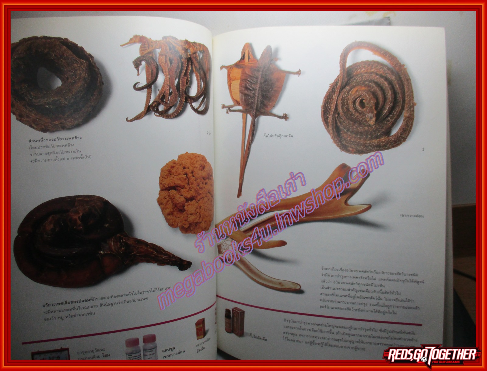 นิตยสารสารคดี ฉบับที่158 ปี2541 ยาบำรุงทางเพศ ควาญกับช้าง