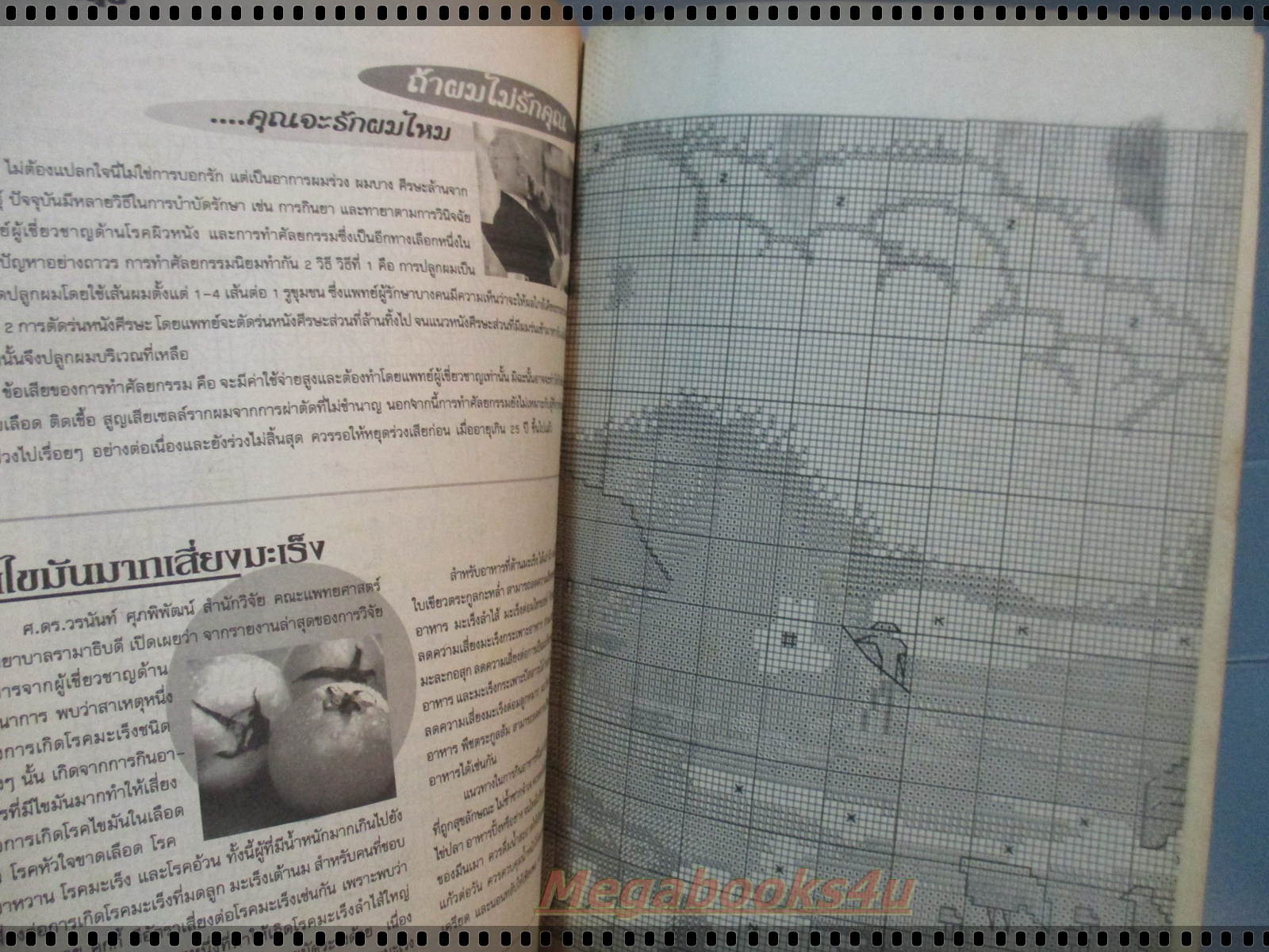 นิตยสารประดิดประดอย ฉบับที่146 ปี2545 ปก ชมพู่ อารยา