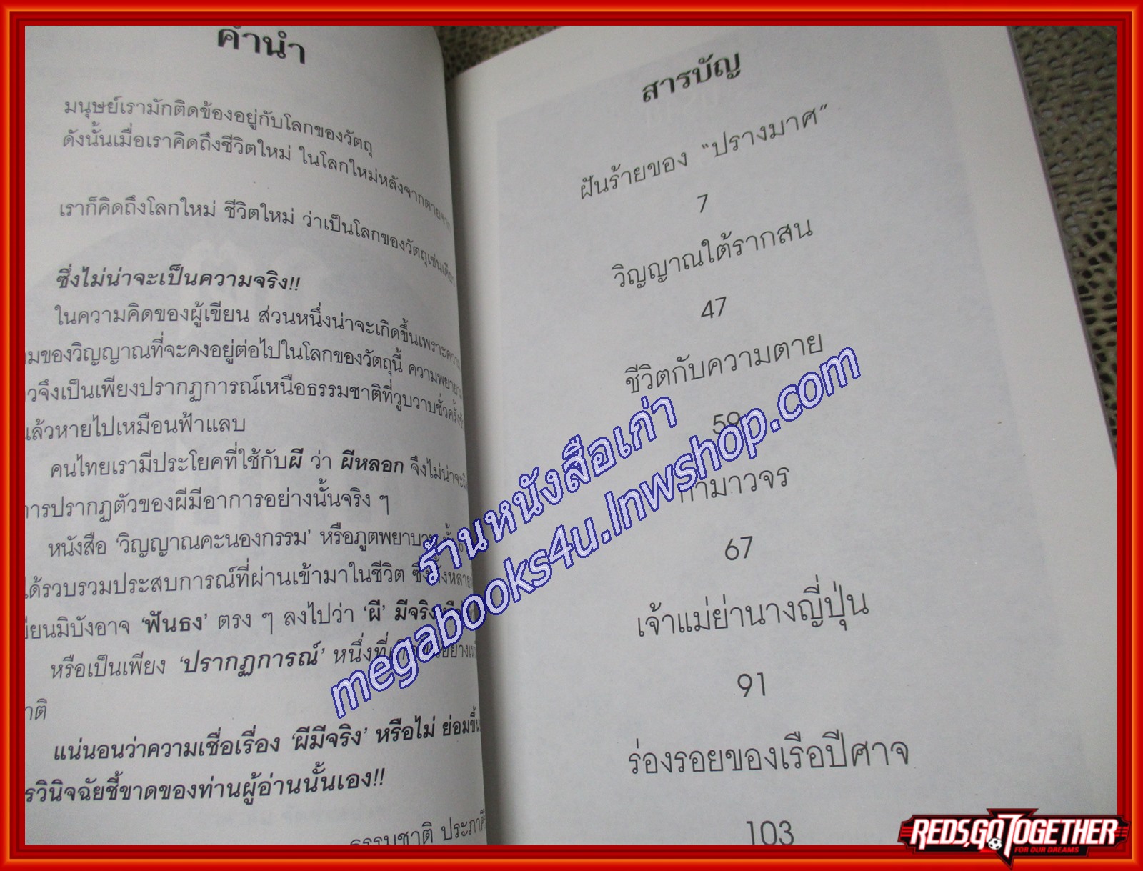 ภูตพยาบาท/ธรรมชาติ ประภาศิริ/ไพลิน (หนังสือบ้าน มือสอง) (สภาพ85-95%)